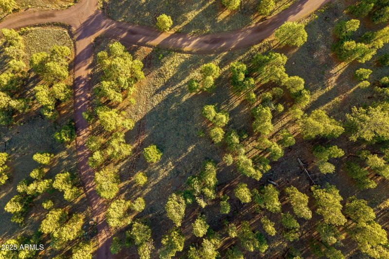 HMRParcel-Greer-AZ-5 (2)