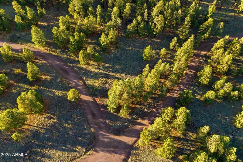 HMRParcel-Greer-AZ-11 (2)