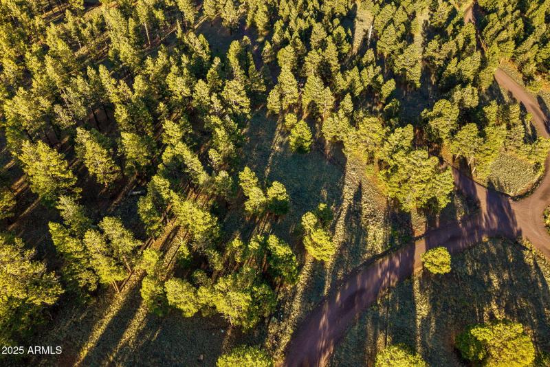 HMRParcel-Greer-AZ-12 (2)