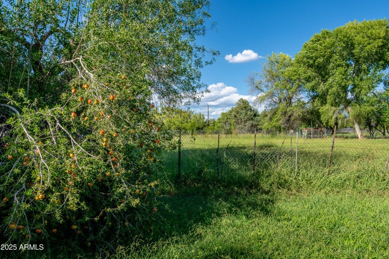 10885 E Pear Tree Dr Cornville AZ-24