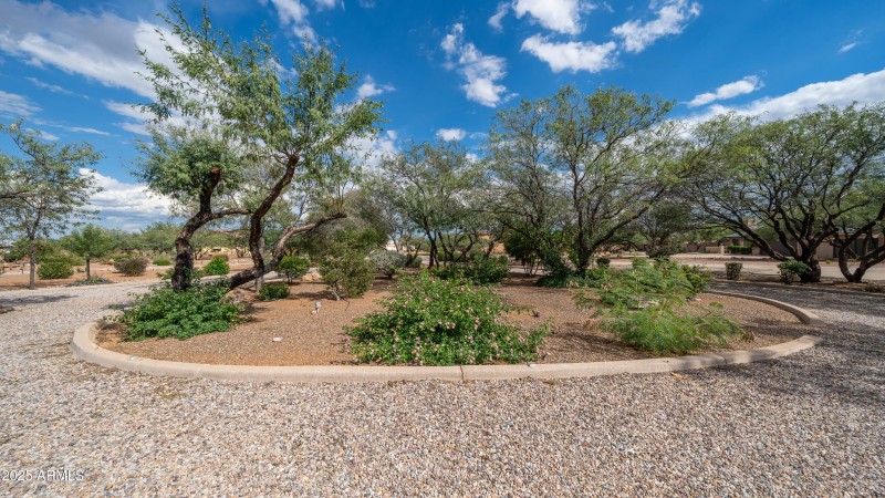 Exterior - 3313 E Ute Pl-5