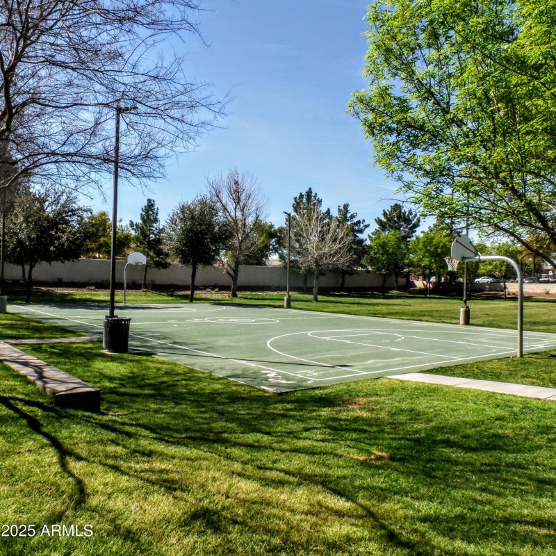 Basketball Court