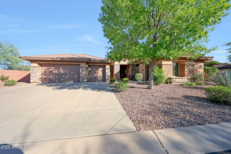 Mature Landscaping by Design