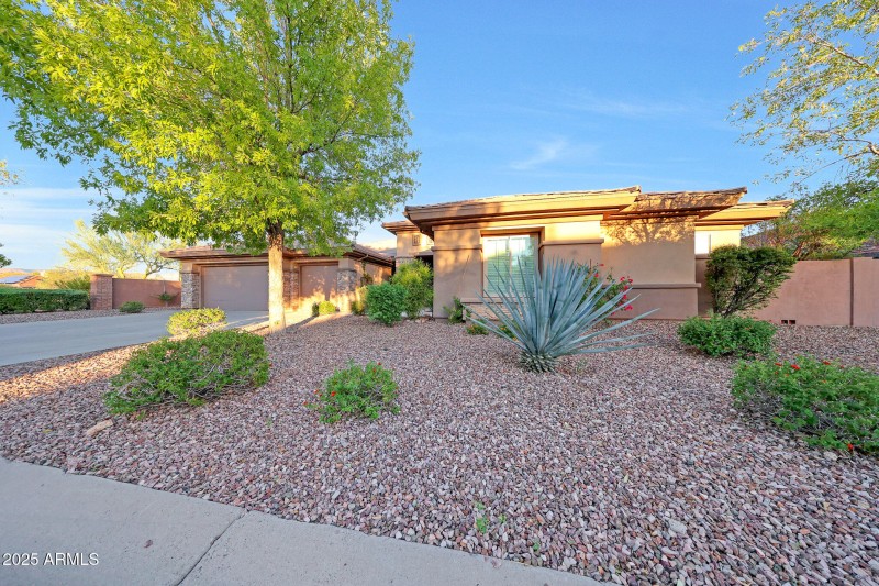 Front Yard in the Evening Sun
