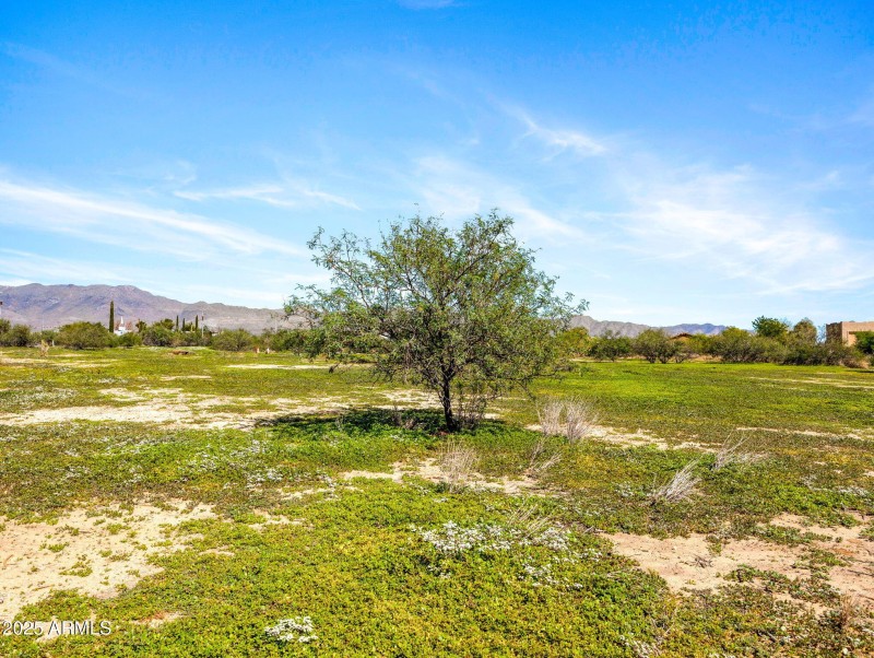 5-web-or-mls-22055 W Sunrise Dr-3