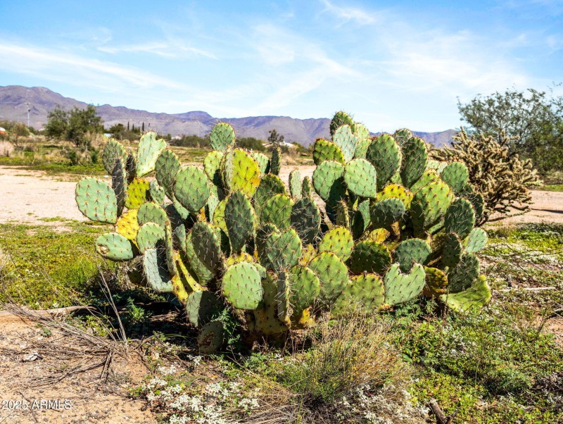 6-web-or-mls-22055 W Sunrise Dr-6