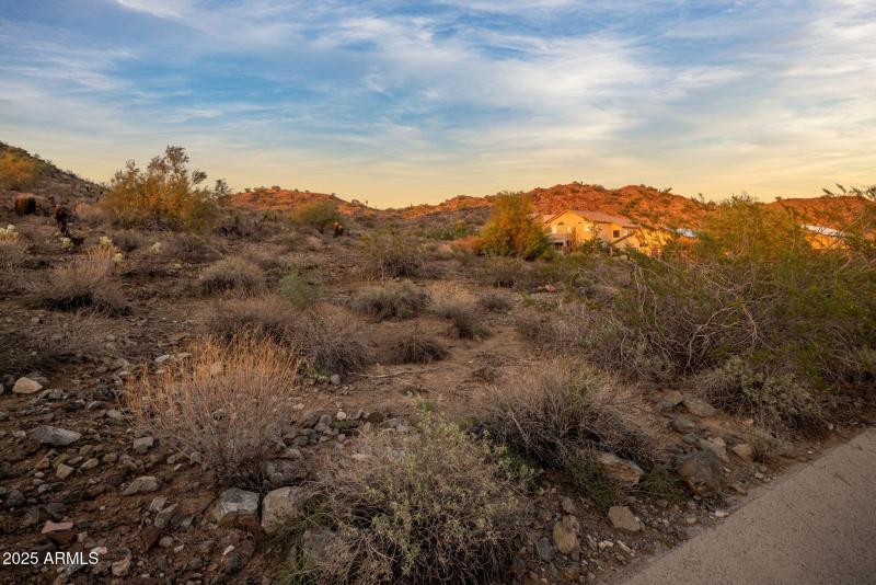 27-web-or-mls-IMG_6754