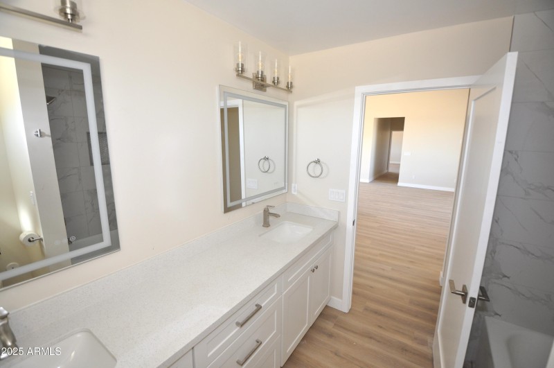 Hallway Bathroom double vanity