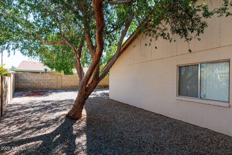 10345 n 62nd ave backyard 2