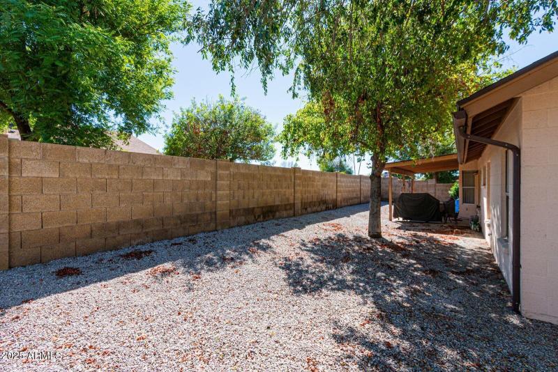 10345 n 62nd ave backyard 3