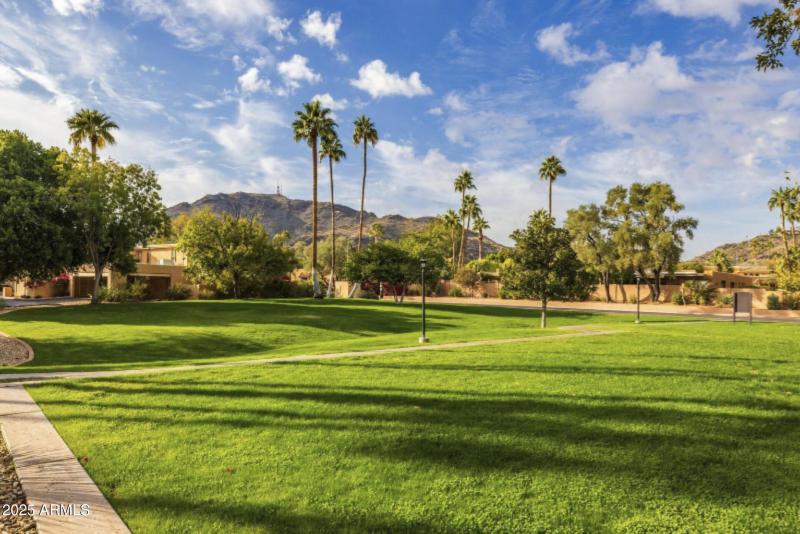 Open Green and Walking Trails