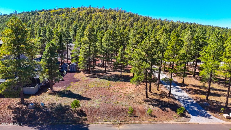 dji_fly_20251002_131048_0822_17595251164