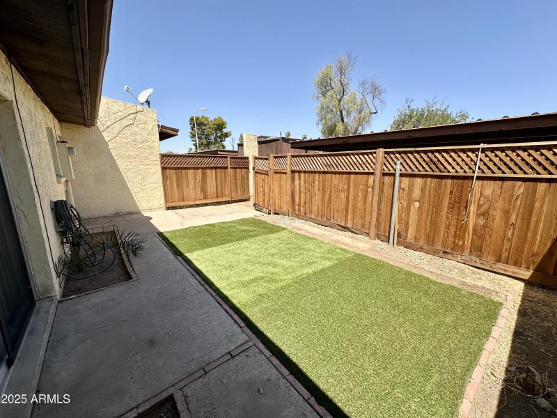 Cozy backyard with turd