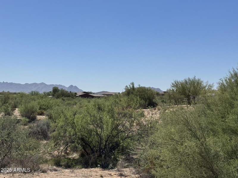 Beautiful Desert Landscape