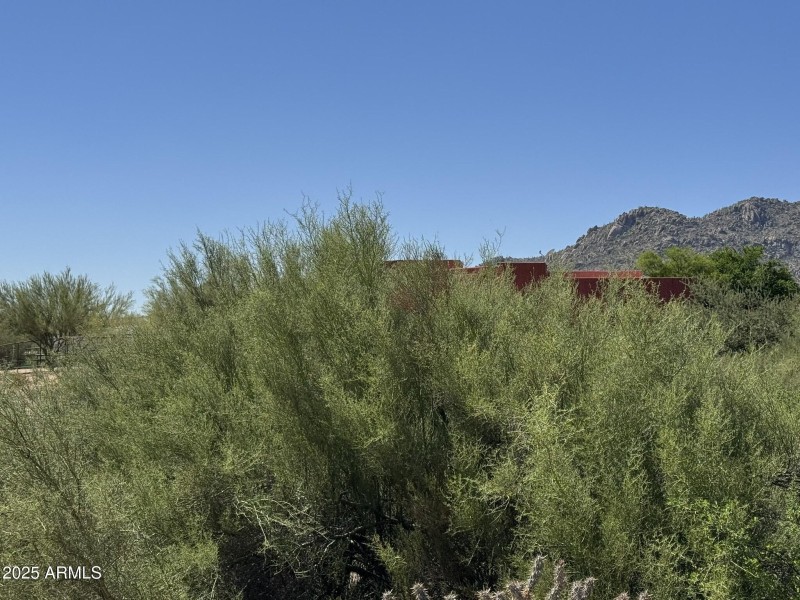 Outdoor Lover's Dream