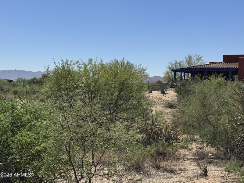 Beautiful Desert Landscape