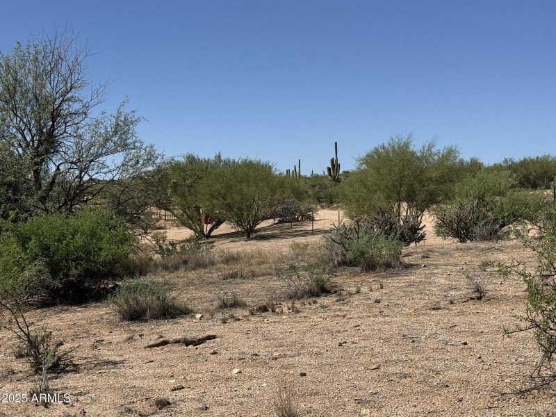 Lots of Room to Grow