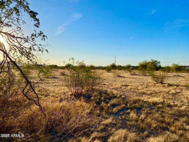 20250410200507703662000000-o (2)