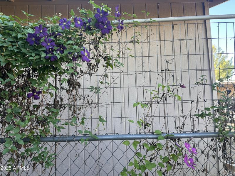 ....and flowers.....