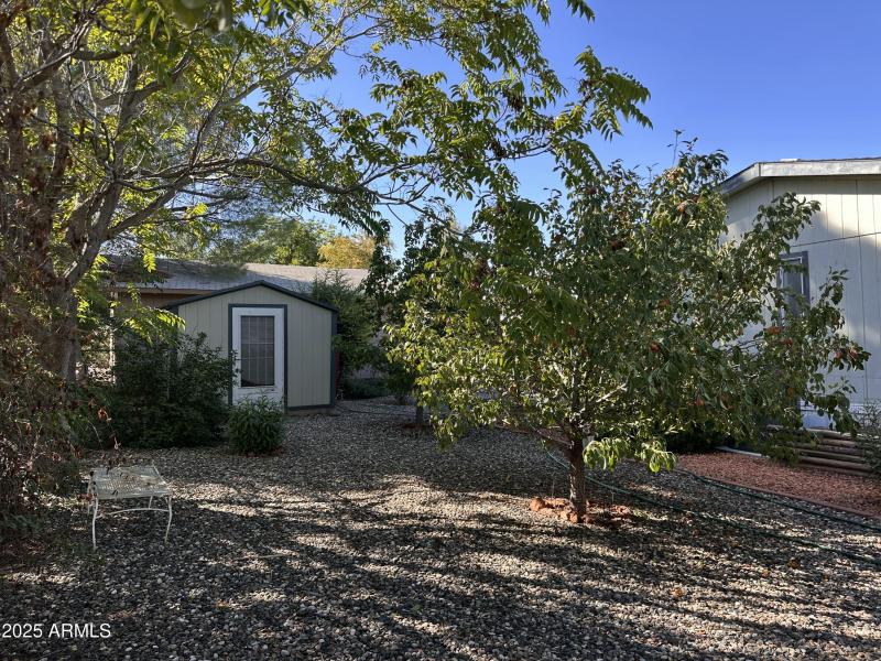Back Yard and Shed