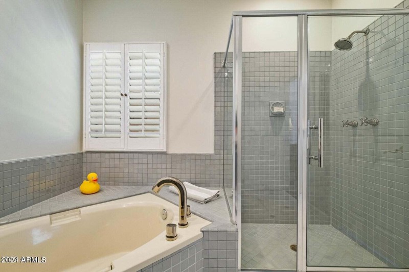 Separate Shower and Tub