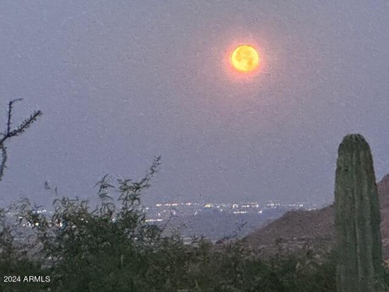 Magical Moon and City Lights