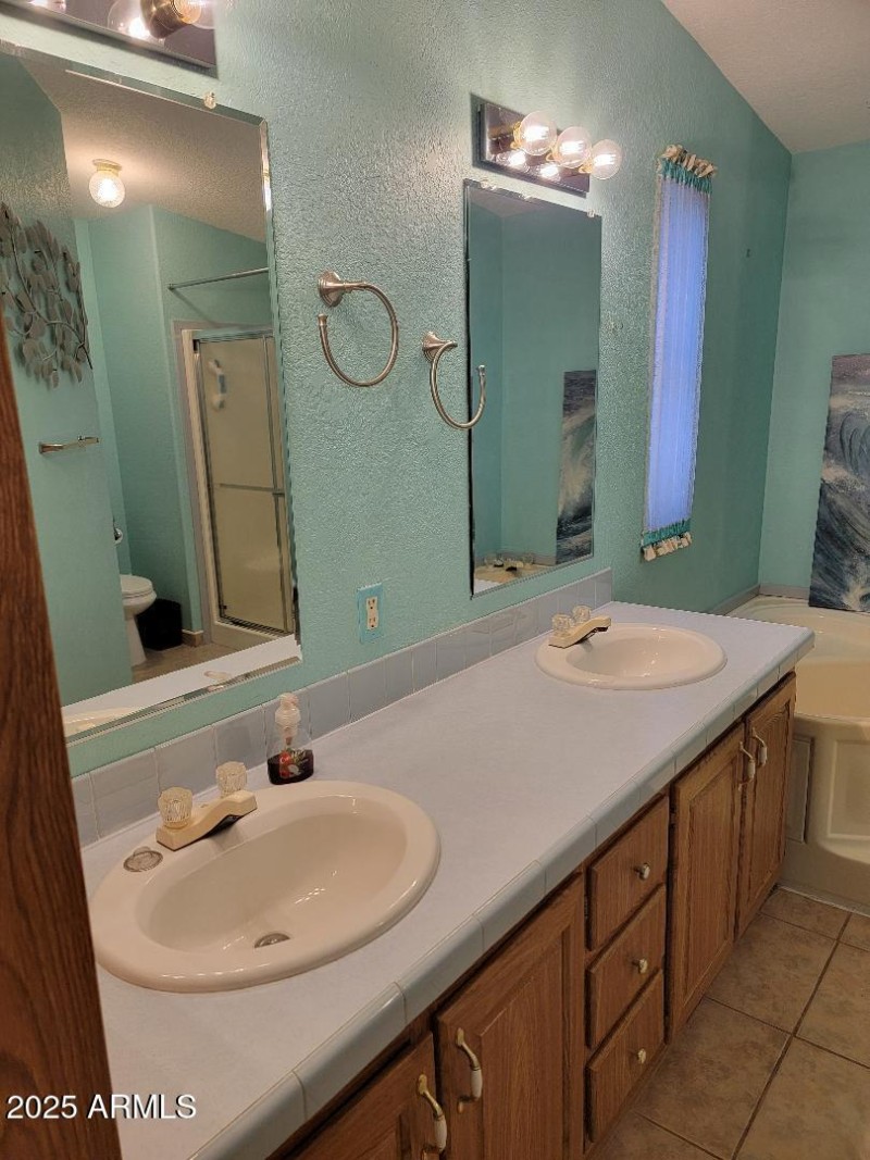 3804 Primary bath sinks