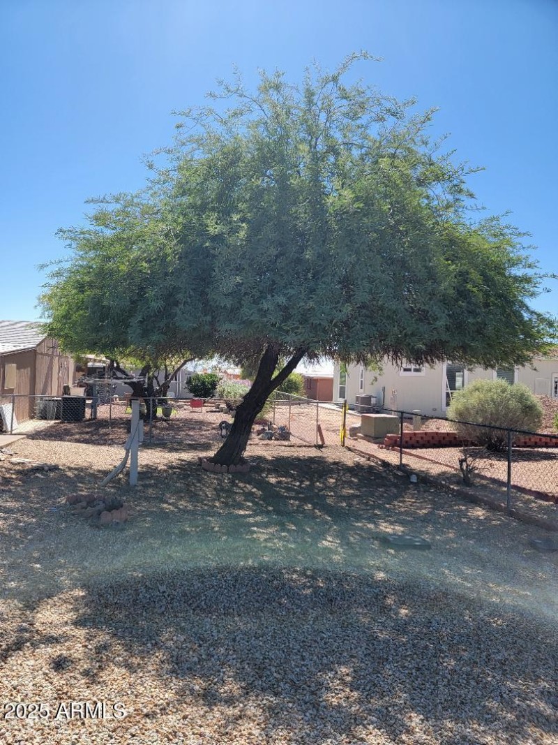 3804 Kansas backyard