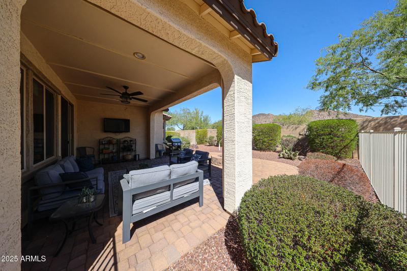 Fully Enclosed Backyard