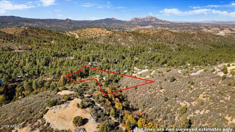 46-Aerial View N Property Lines