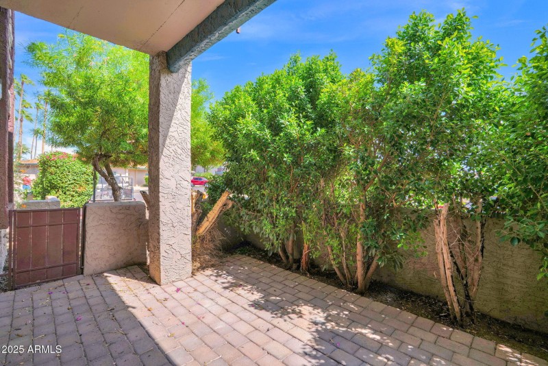 25-web-or-mls-P1303910