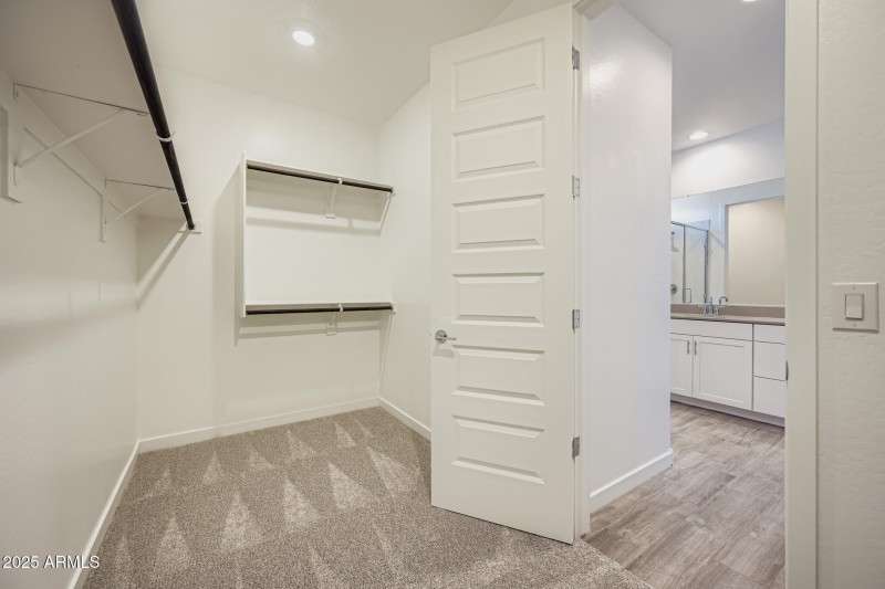 Owners Walk in Closet