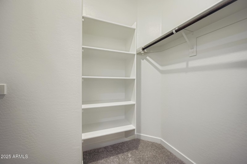 Owners Walk in Closet