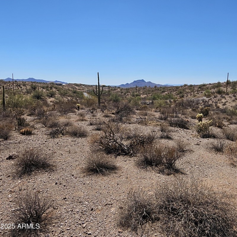 Mountain Views with Saguaro