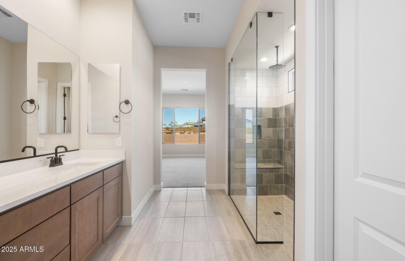 Owner's Bathroom