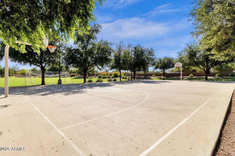 Basketball court