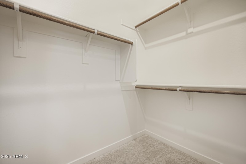 Owners Walk in Closet