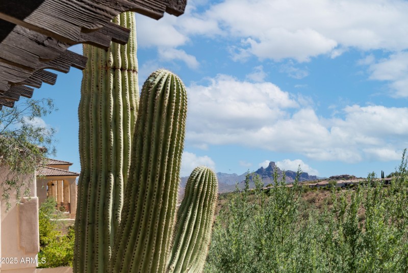 15155 E Westridge Dr Exterior Photos-25