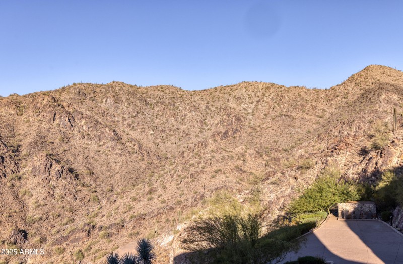 Saguaros on the Mountain