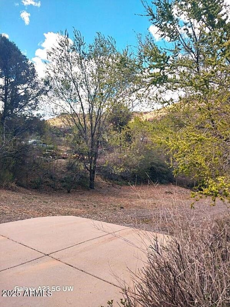 Front Drive View - Copy