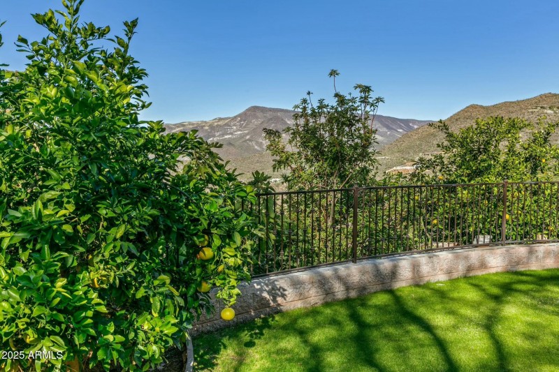 Citrus Garden Continued