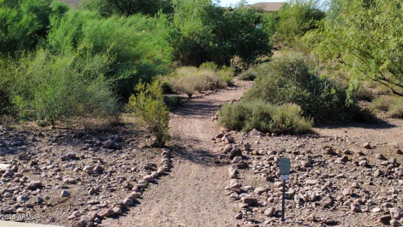 Easy Hiking Trails in Community!