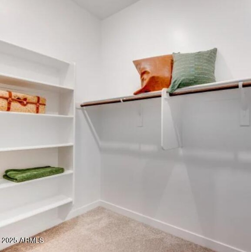 Owners Walk in Closet