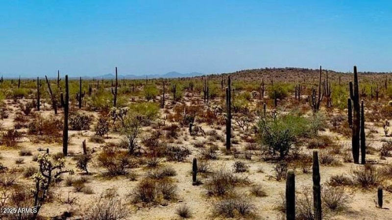 20250821052633162346000000-o (2)