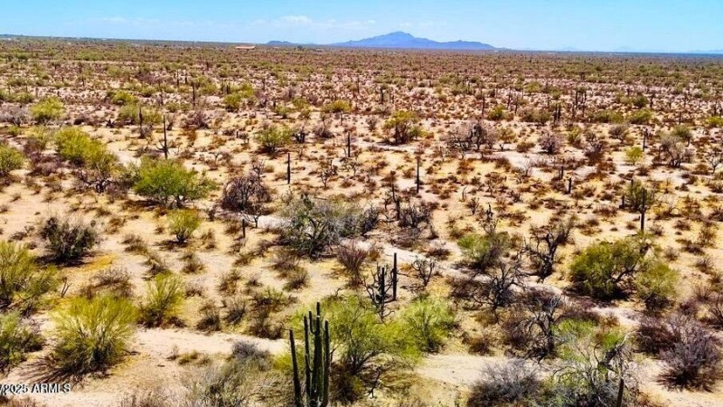 20250821053314556547000000-o (2)