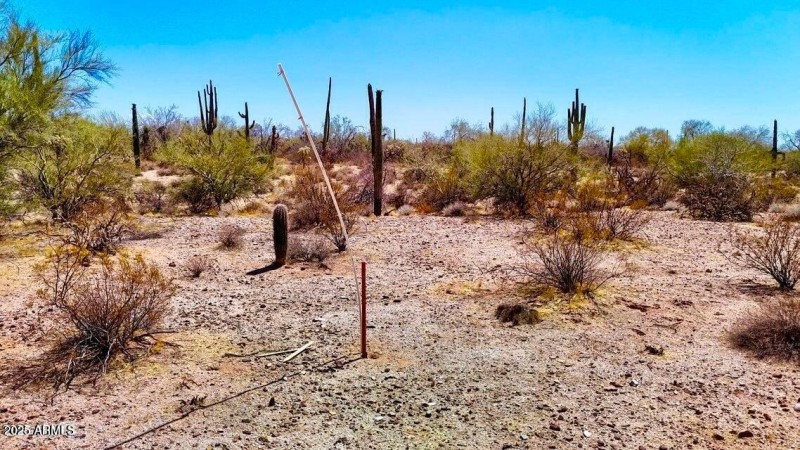 20250821053045388188000000-o (2)