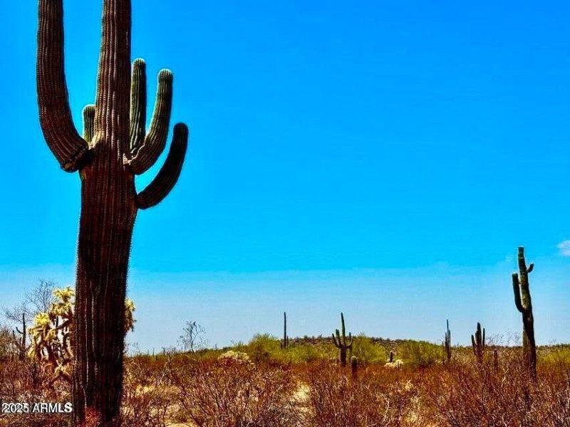 20250821052813833362000000-o (2)