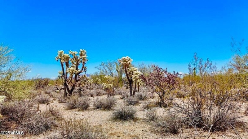 20250821053331442575000000-o (2)