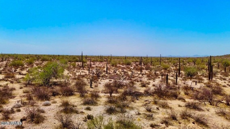 20250821053448258982000000-o (2)