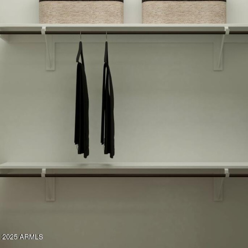 Owners Walk in Closet